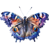 Beau papillon