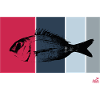 Dorade