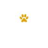 Hund Dog
