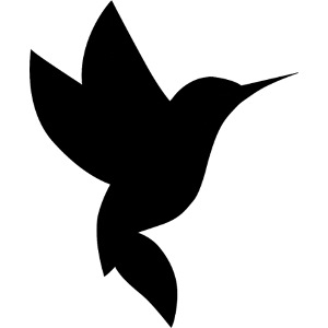 Astro COLIBIR logo black