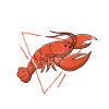 Lille krebs Sjov Cajun Liguster Kog
