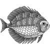 Fisch