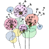 Dandelions