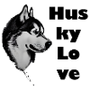 Husky Love