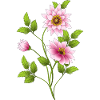 Fleur