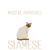 Siamesische Katze Geschenke