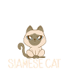 Siamese Cat Gifts