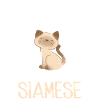 Siamesische Katze Geschenke