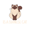 Siamese Cat Gifts