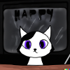 TV Katze