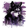 Husky Dog