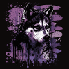 Husky Dog