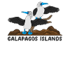 Galapagos Islands