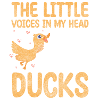 Ducklings Waterfowl
