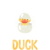 Ente Quacken Erpel