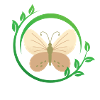 Nature and butterfly
