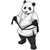 Panda Karate Martial Arts