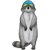 Raccoon swimming swimming cap