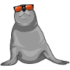 Seal Sunglasses