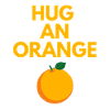 HUG AN ORANGE