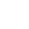 Limited Edition 1984