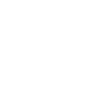 Édition limitée 1981