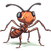 Ibi the ant