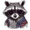 Cool raccoon