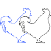 Rooster 2