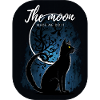 Black cat with the moon