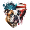 Bulldog anglais États-Unis