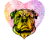 Bouledogue anglais Rétro