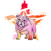 Bouledogue anglais Rétro