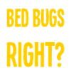 Insectes