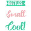 Insectes