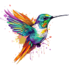 Ozi the hummingbird