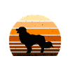 Kooikerhondje Dog Lover Silhouette Vintage Sunset