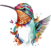 Mimi the hummingbird