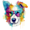 Rexo the bespectacled dog