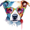 Rox the bespectacled dog