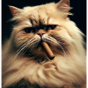 Persian cat Negan with cigar
