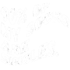 Single socks