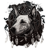 Bull Terrier et Dreamcatcher