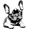 Dog French Bulldog Dog Owner