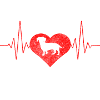 Hund Rauhaardackel Jagdhund