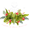 Plants - not people
