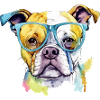 Jik the bespectacled dog