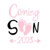 Pregnant 2023