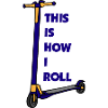 E-Scooter Roller Scooter