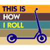 E-Scooter Roller Scooter